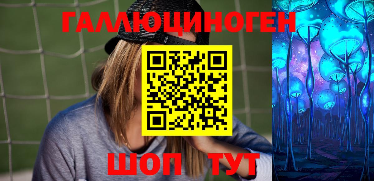 Галлюциногенные грибы Psilocybe  Вход с VPN  хочу наркоту  Карачаевск 